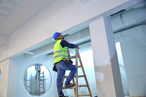 Best Mold Odor Removal Services  in North Weeki Wachee, FL