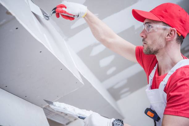 Best Real Estate Mold Inspection  in North Weeki Wachee, FL